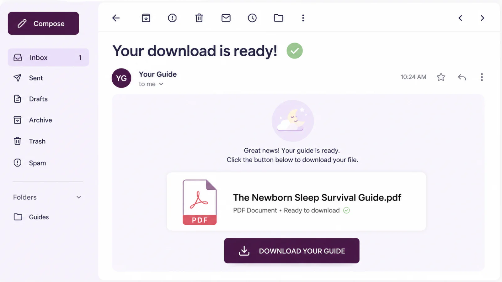 The automatic email delivering the purchased PDF guide